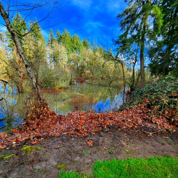 Meet your Posher, Greg - Picture 1 of 1